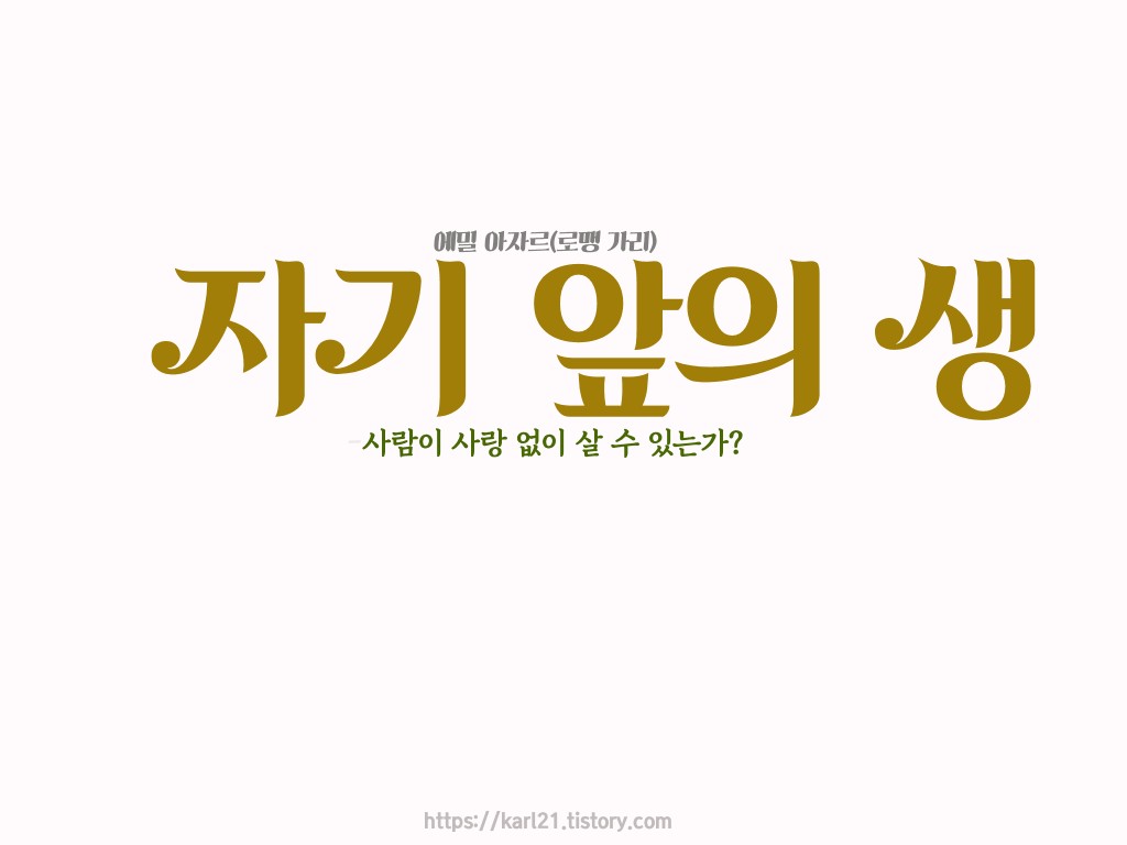 로맹 가리 에밀 아자르/자기 앞의 생/사람이 사랑 없이 살 수 있는가