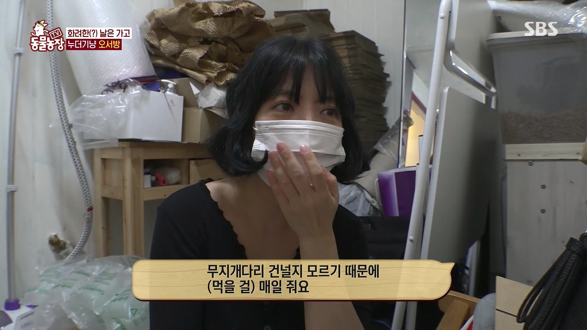 TV 동물농장.E1180.240714p.H264-F1RST.mp4_20240715_201737.944.jpg