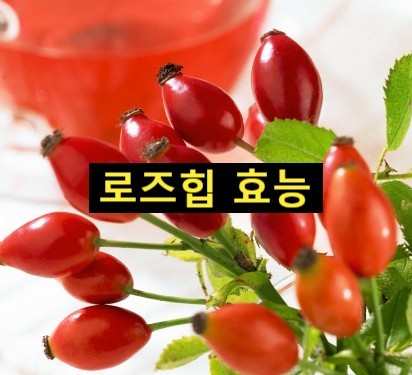 로즈힙퓨레