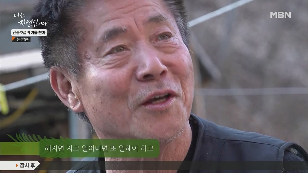 나는 자연인이다.E533.221222p.WANNA.mp4_20221222_194250.070.jpg