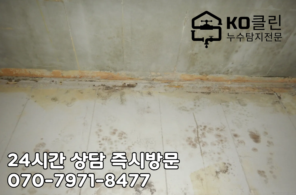 석촌호수 누수 탐지2