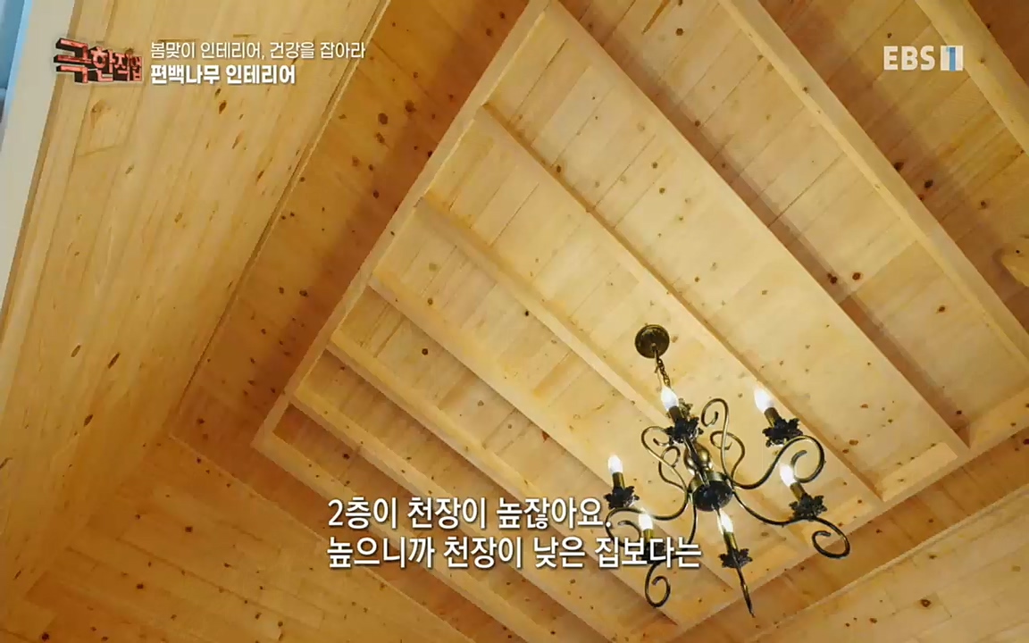 TV - 교육의 중심 EBS봄맞이 인테리어, 천연 소재로 건강을 잡아라.mp4_20220514_192320.322.jpg