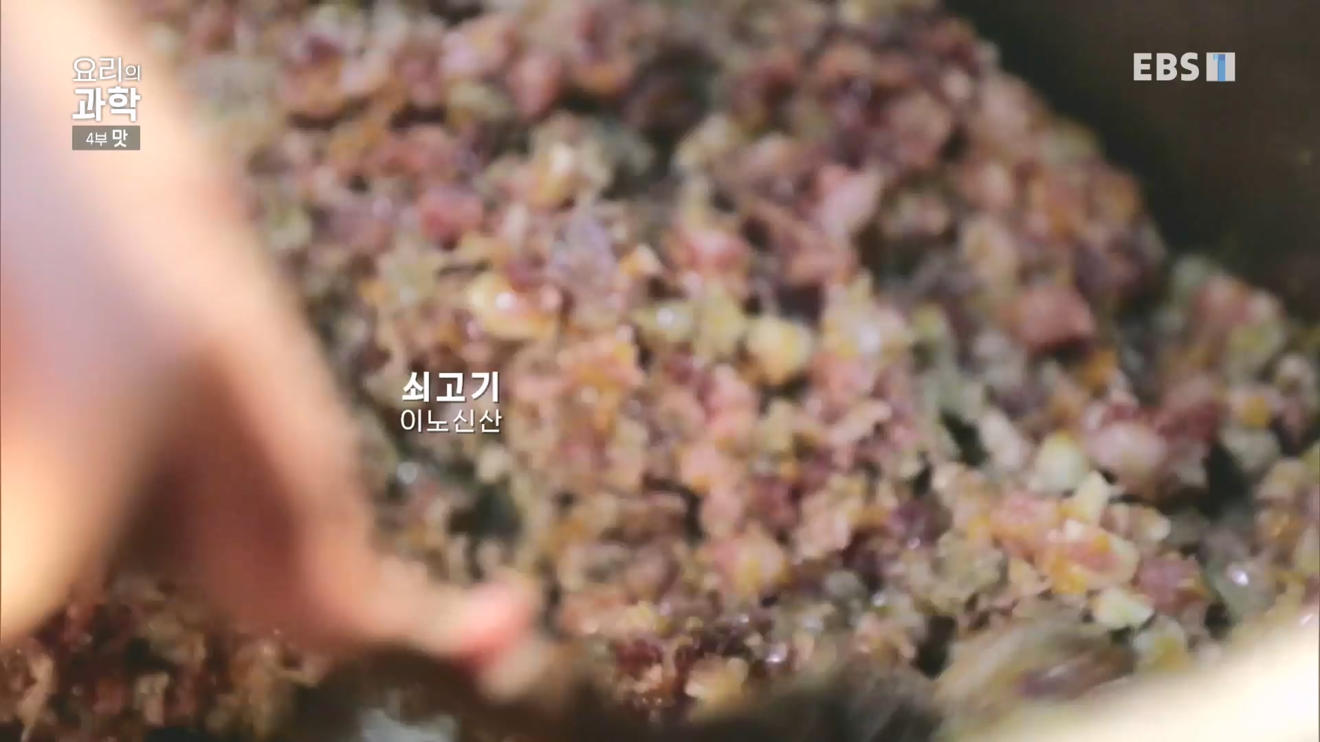EBS 다큐프라임.201208.요리의 과학 - 4부 맛0p.mp4_20240413_162625.018.jpg