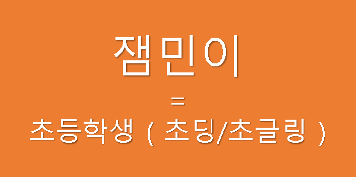 잼민이 뜻