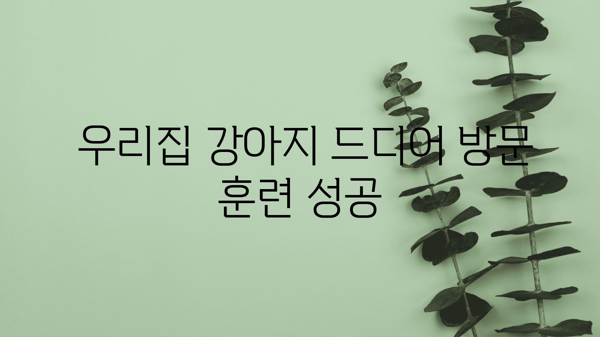  우리집 강아지 드디어 방문 훈련 성공