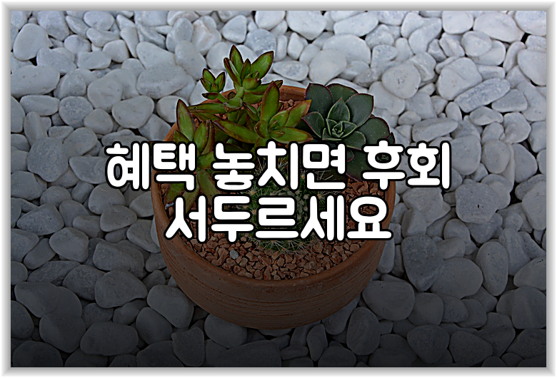 혜택 놓치면 후회 서두르세요
