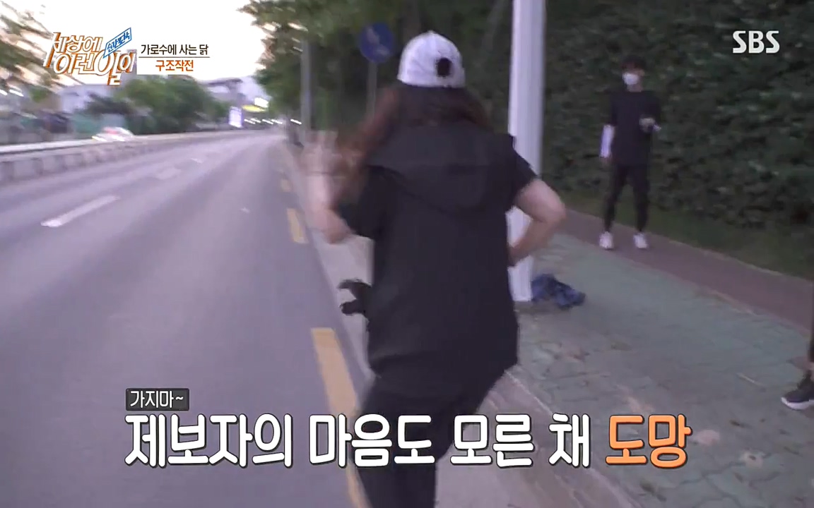 순간포착 세상에 이런일이.E1182.220532p-NEXT.mp4_20220601_173147.337.jpg