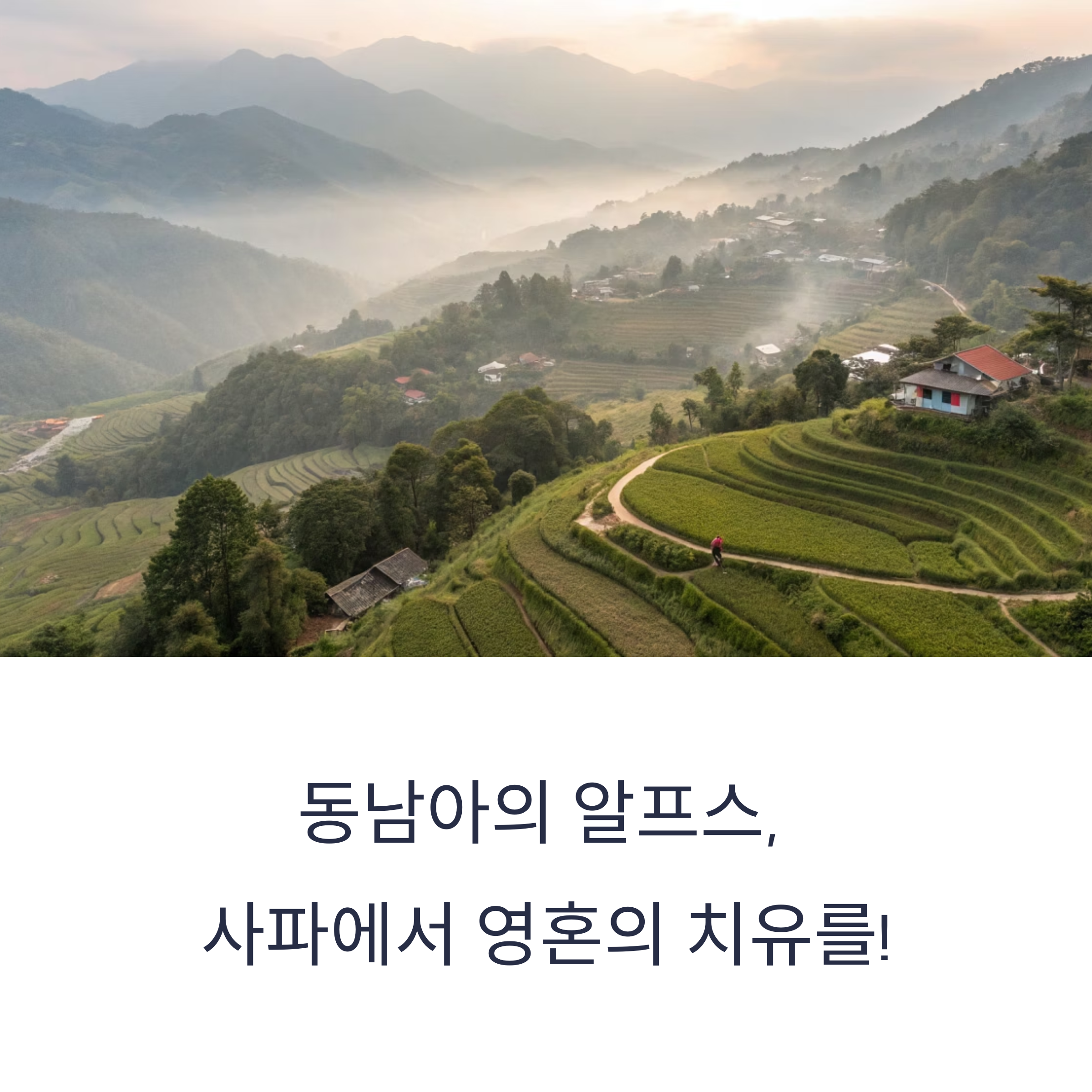베트남 사파 여행