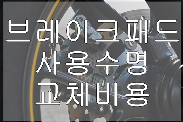  [차량점검] 브레이크 패드 : 브레이크 원리, 교체비용
