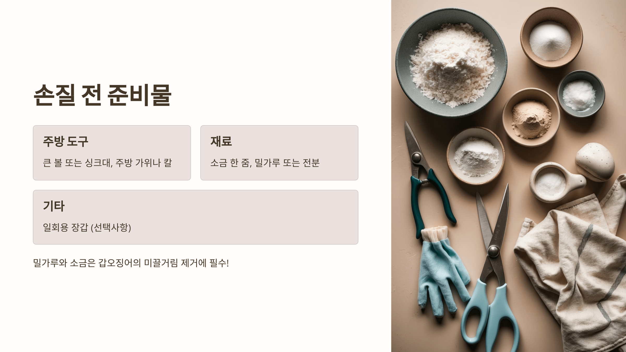 갑오징어 사진입니다.