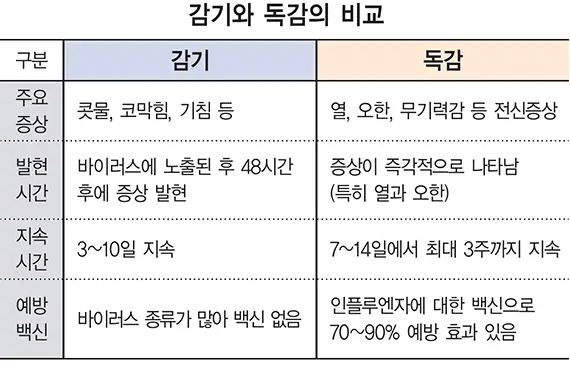 감기와 독감