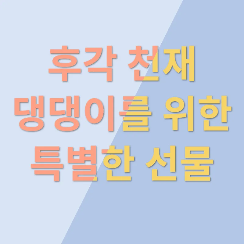 반려견 행복_2