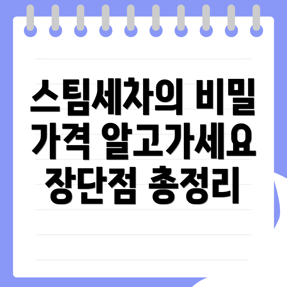 스팀세차