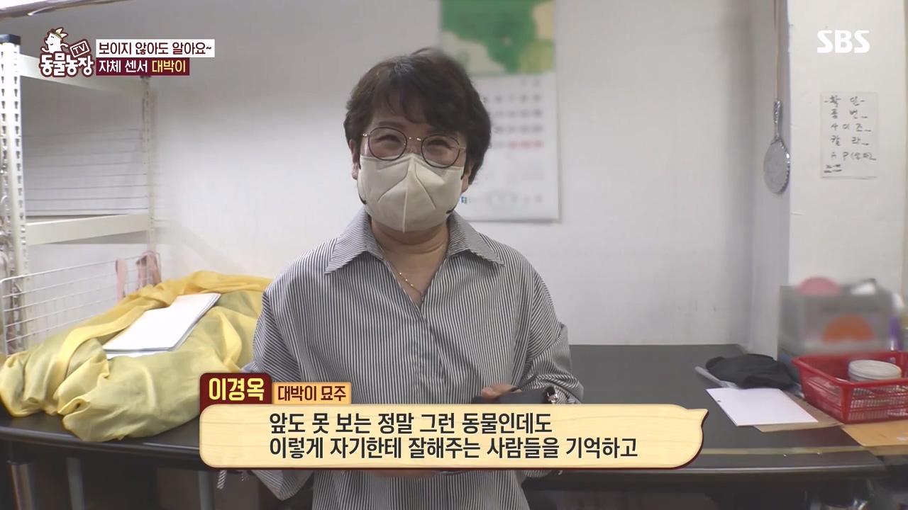 TV 동물농장.E1141.231016p-NEXT.mp4_20231015_174340.464.jpg