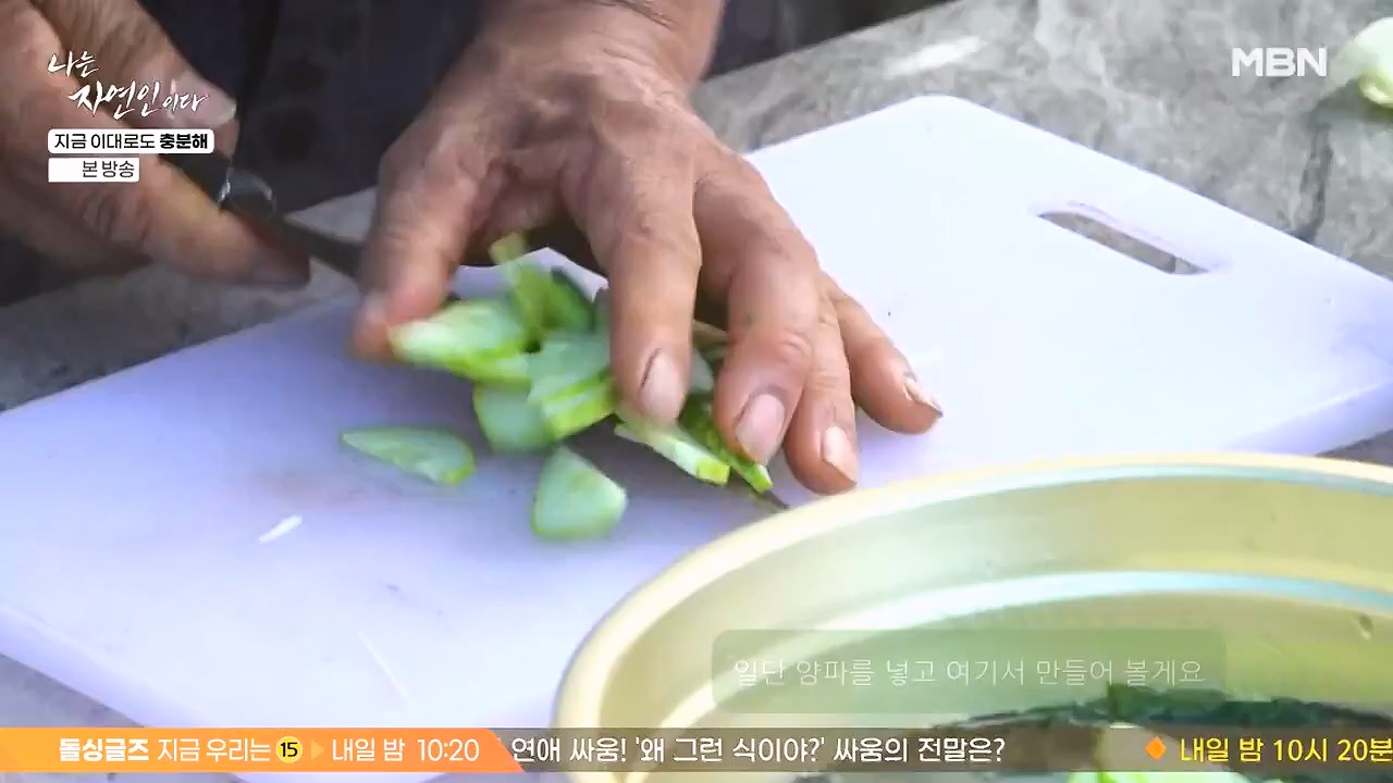 나는 자연인이다.E615.240725p-NEXT.mp4_20240725_200733.215.jpg