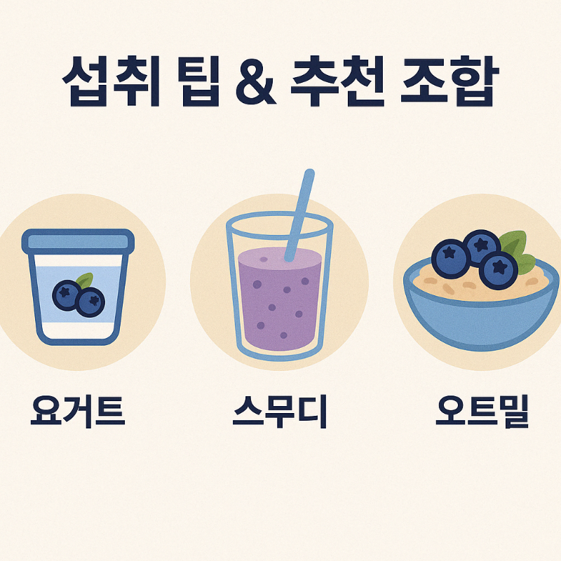 블루베리를 요거트, 스무디, 오트밀에 활용하는 섭취 방법을 담은 이미지