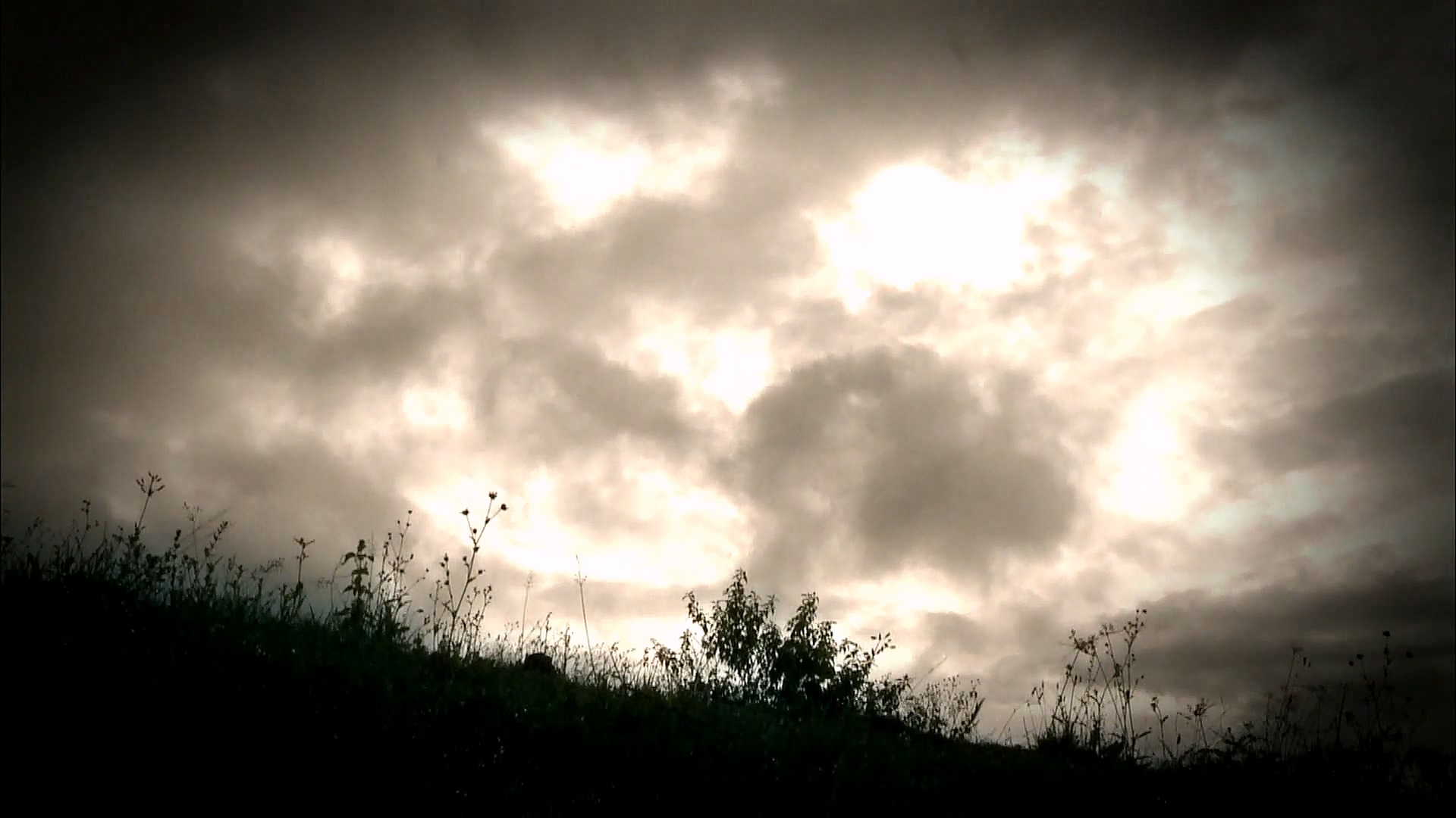 EBS 다큐프라임 - TV - 교육의 중심 EBS자본주의 2부. 소비는 감정이다.mp4_20230312_182058.256.jpg