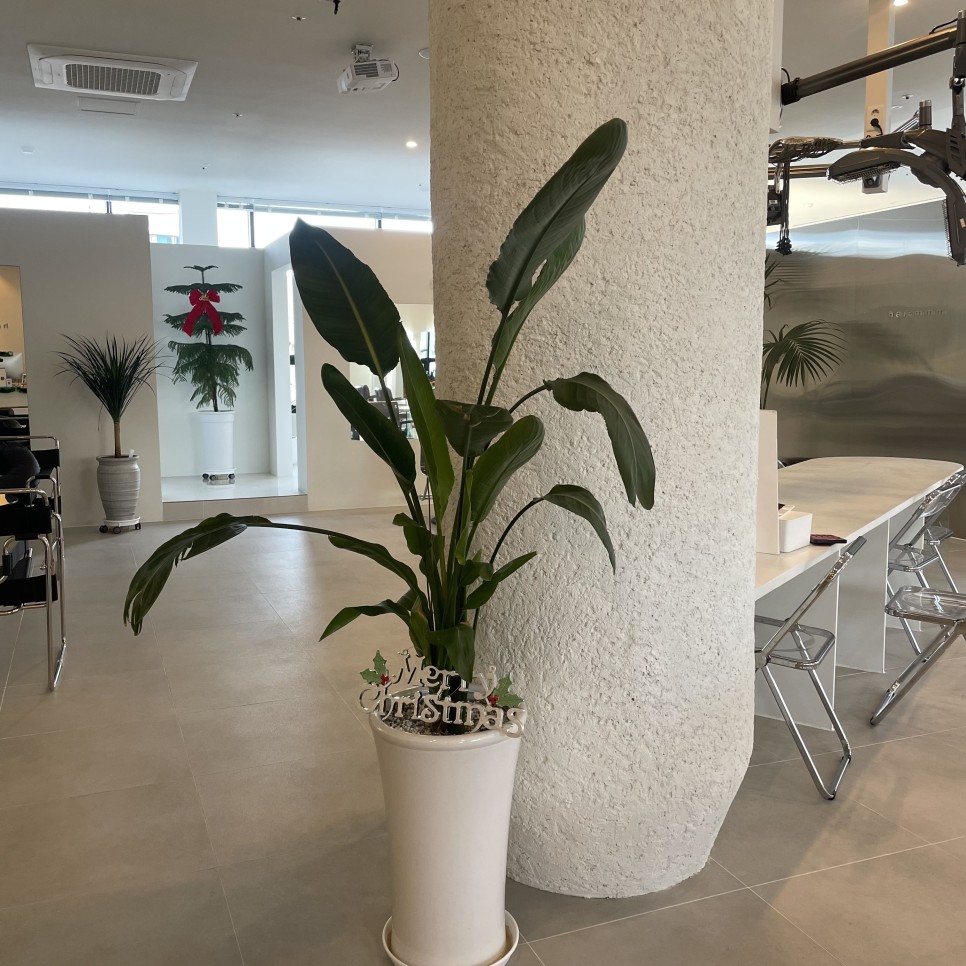 컷트 염색을 잘하는 곳!