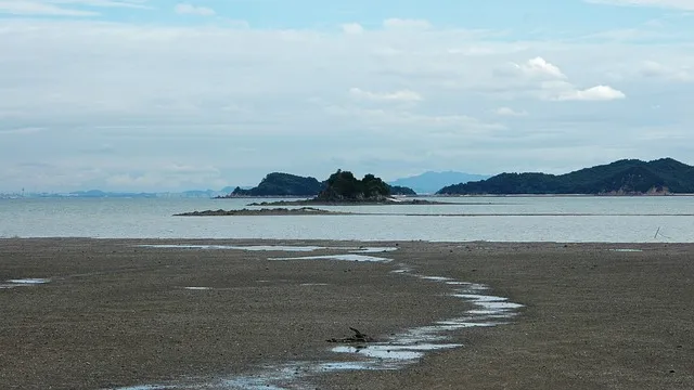 안산 가볼만한곳 베스트10 여행 놀거리 맛집_6