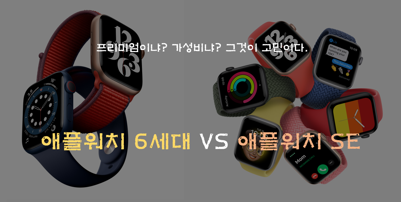  애플워치 6, 애플워치 SE 비교하기