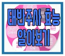 태반 주사에 관한 글 보러 가기 링크 사진