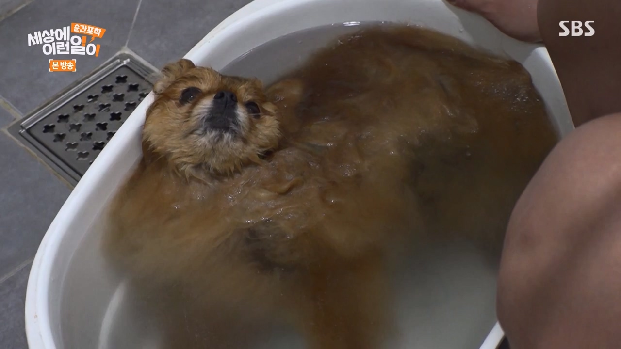 순간포착 세상에 이런일이.E1253.231126p-NEXT.mp4_20231126_160758.971.jpg