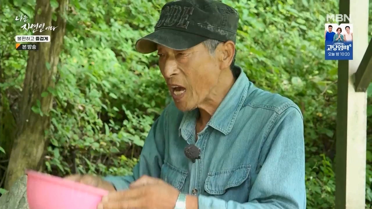 나는 자연인이다.E566.230810p.WANNA.mp4_20230810_202604.717.jpg