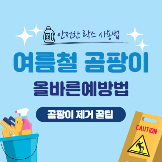 여름철곰팡이올바른예방법