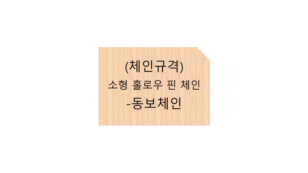  (체인규격)소형 홀로우 핀 체인 - 동보체인