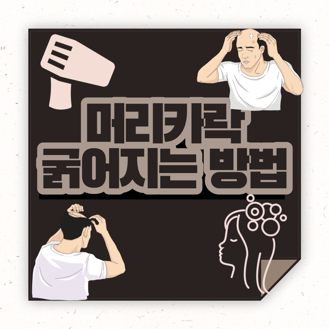  머리카락 굵어지는 방법은 어떻게 될까? + 탈모영양제 추천