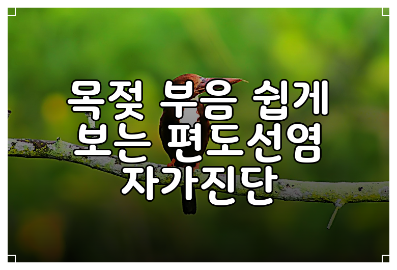 목젖 부음 쉽게 보는 편도선염 자가진단