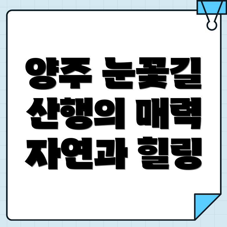 눈꽃 산행