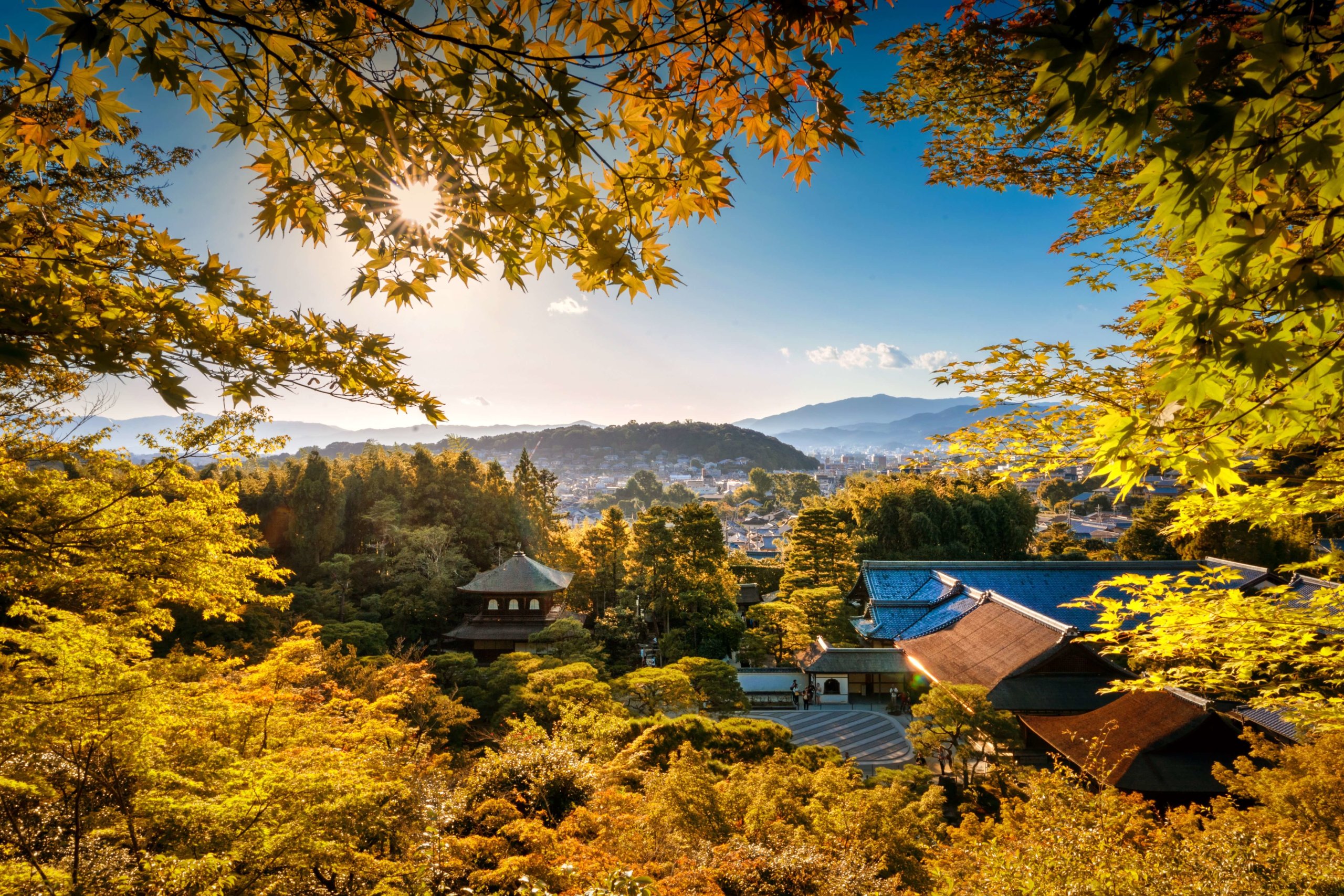 일본에 낙엽이 물든 나무들 사이에 보이는 전통 사원 건물