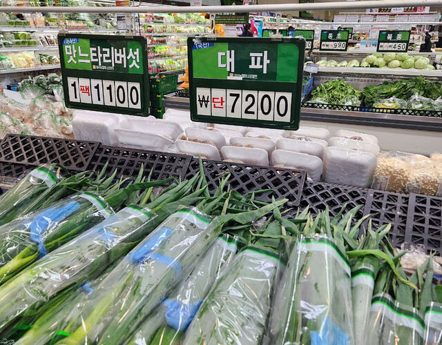 yxYB50Bq.jpg