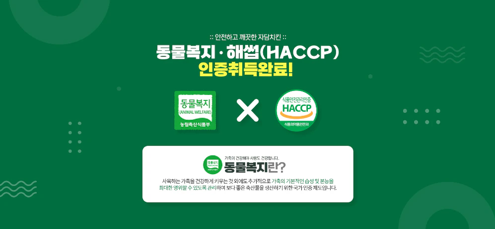 자담치킨 창업상담