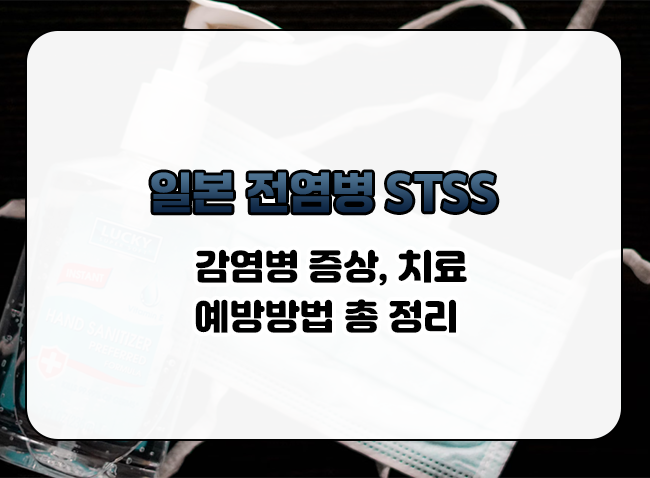  일본 전염병 STSS 감염병 증상과 치료, 예방방법 정보