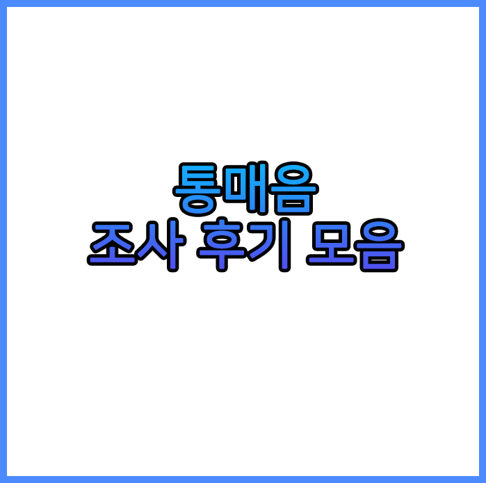  통매음 경찰서 조사 후기 모음