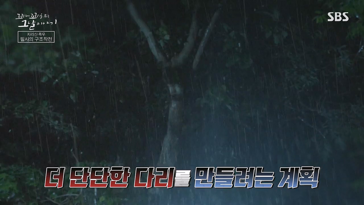 꼬리에 꼬리를 무는 그날 이야기.E134.240628p-NEXT.mp4_20240629_155326.839.jpg
