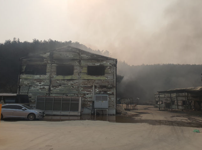 윤형빈 영덕 산불 기부
