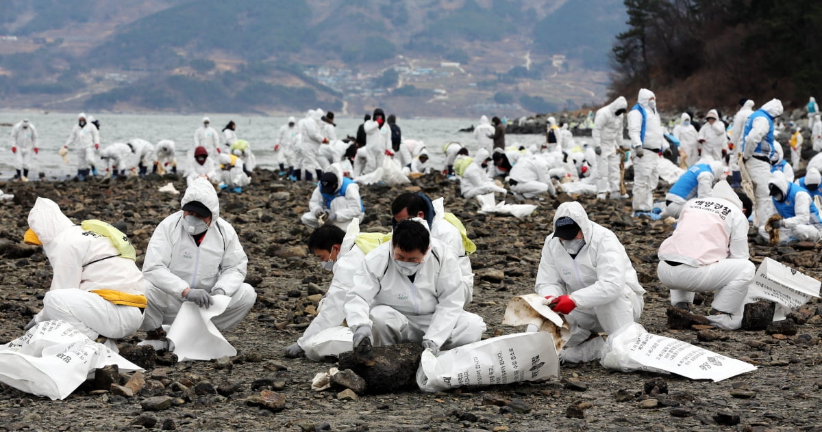2007년 충남 태안 앞바다 기름 유출 사고가 발생하자 전국에서 자원 봉사자들이 모여 기름 제거 작업에 나섰다.