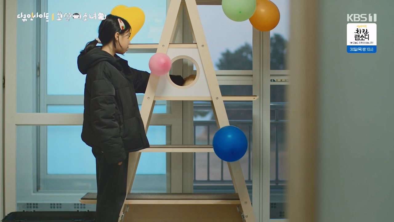 다큐 인사이트.E189.240524p-NEXT.mp4_20240524_205111.053.jpg