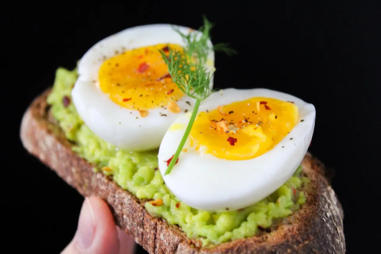 달걀 논쟁 종료! 하루 권장 계란 섭취량과 영양성분 정리