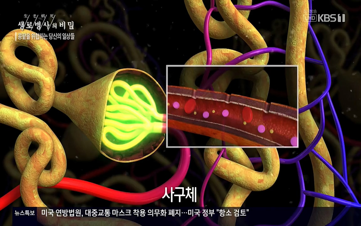 생로병사의 비밀.E819.220421p-NEXT.mp4_20220421_194722.866.jpg