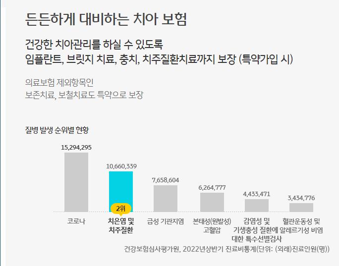KB 치아보험