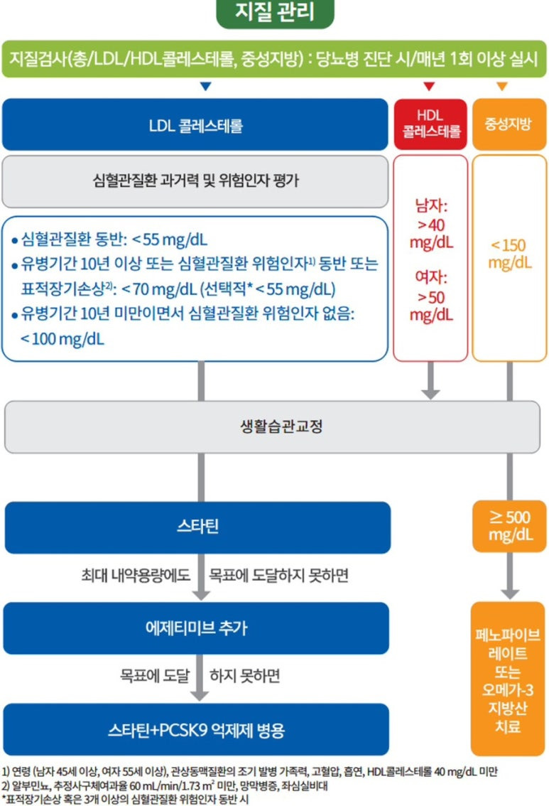 당뇨환자에서 지질관리