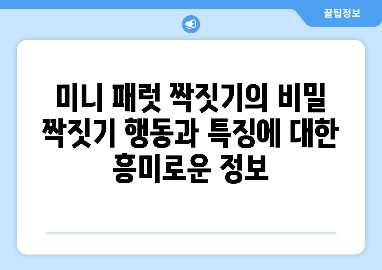 미니 패럿, 짝짓기의 비밀 (짝짓기 행동과 특징에 대한 흥미로운 정보)