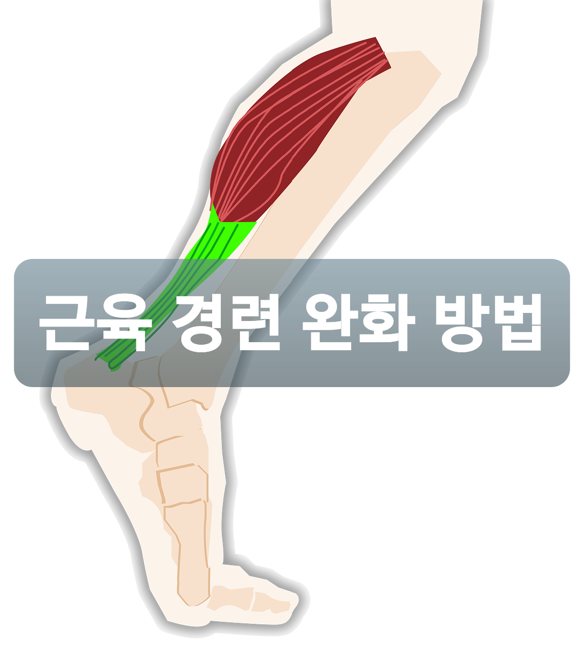  근육 경련 원인 완화 방법