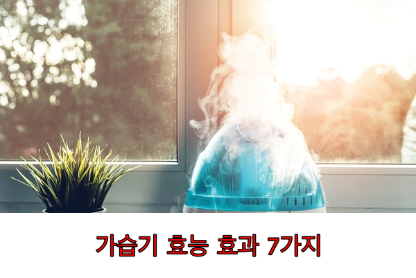  가습기 적정 실내습도로 맞춰 틀면 우리에게 이로운점 7가지(생활정보)