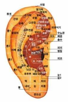 귀 혈자리 위치 지압법