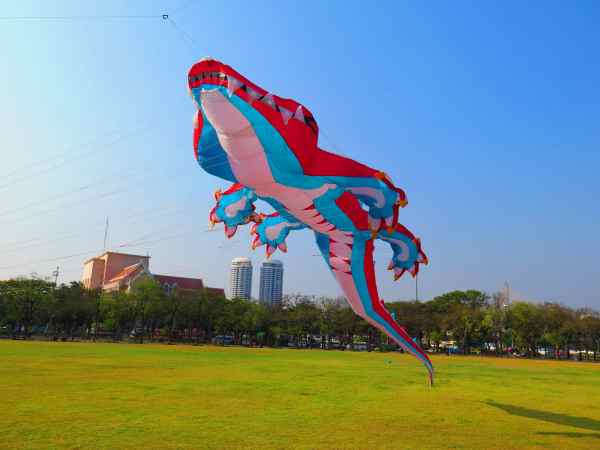 국제 연 날리기 축제 (International Kite Festival)